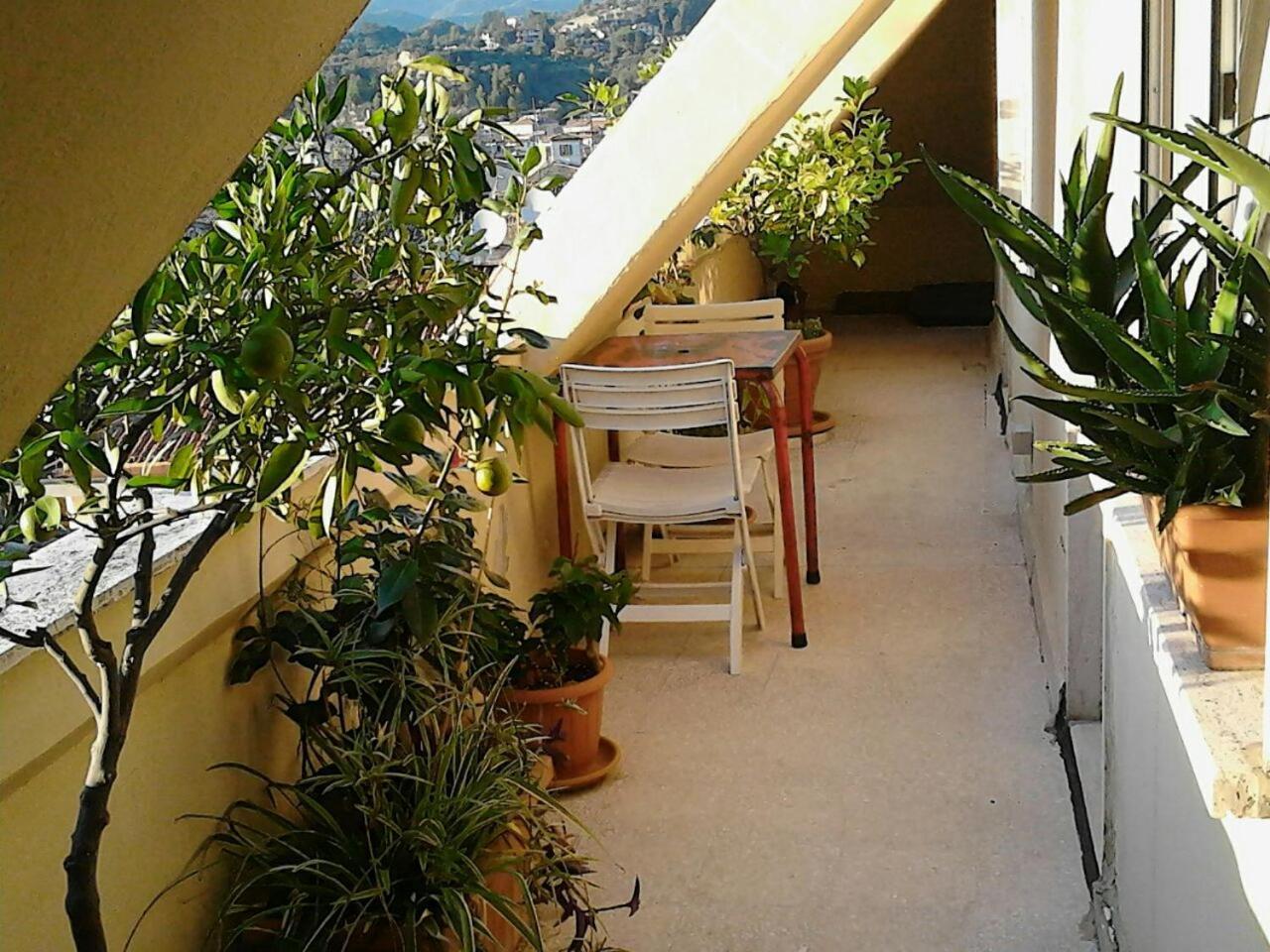 A Casa Di Lola Bed & Breakfast Ascoli Piceno Luaran gambar