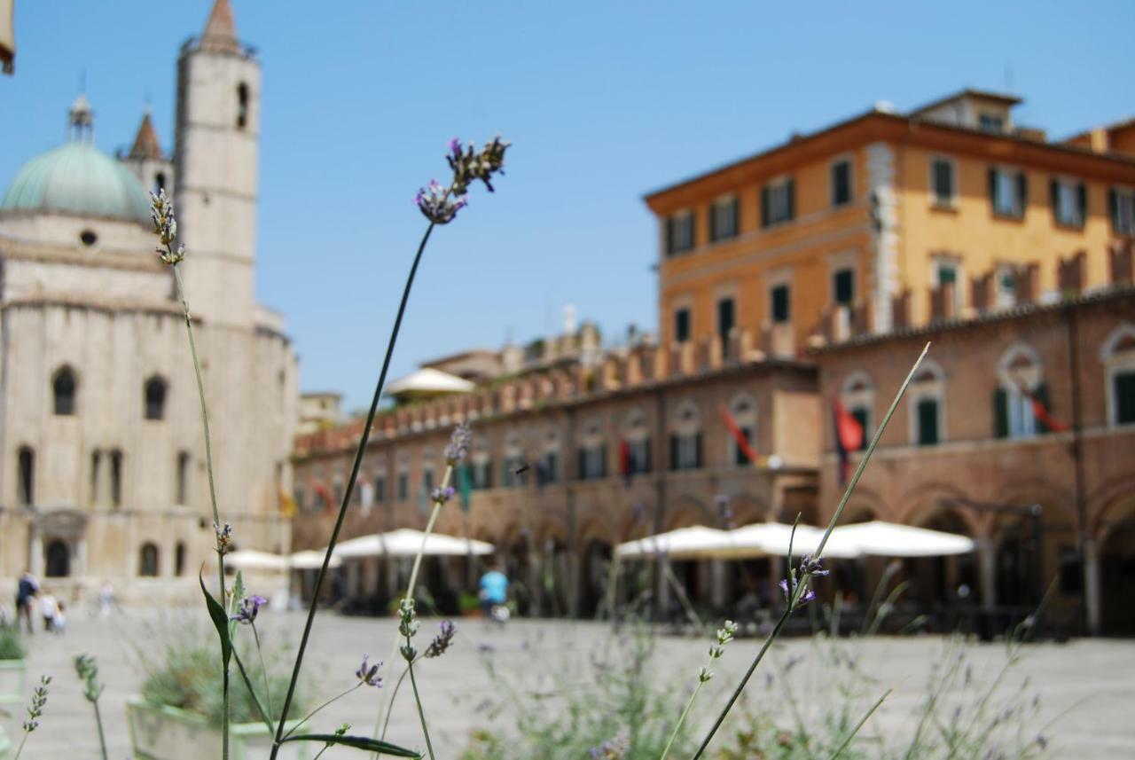 A Casa Di Lola Bed & Breakfast Ascoli Piceno Luaran gambar