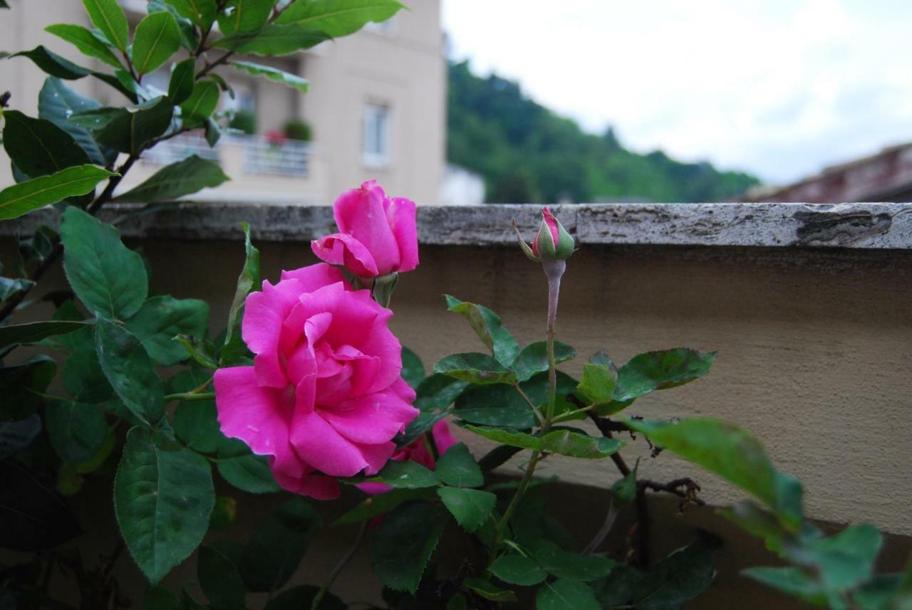 A Casa Di Lola Bed & Breakfast Ascoli Piceno Luaran gambar